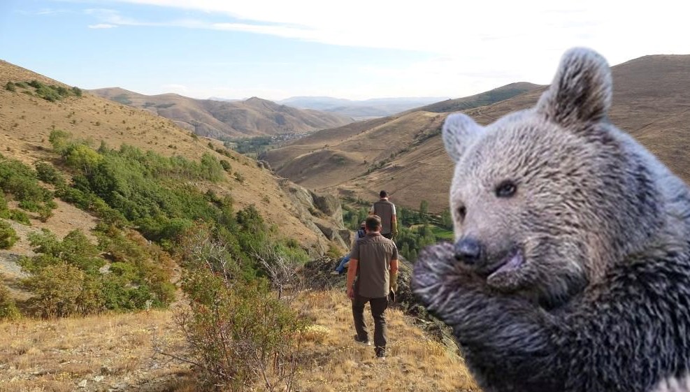 annesini kaybeden yavru ayi koyu alarma gecirdi jQU17beY