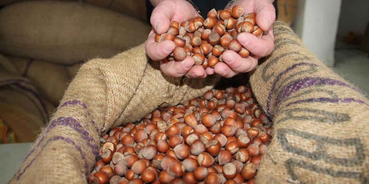 Fındık’tan 1 milyar 610 milyon 163 bin gelir