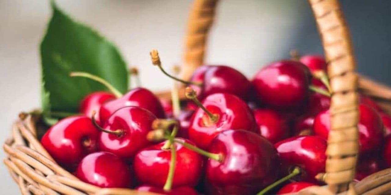 tarim urunlerinde fiyatlar yuzde 468 artti HyM2jjcE.jpg