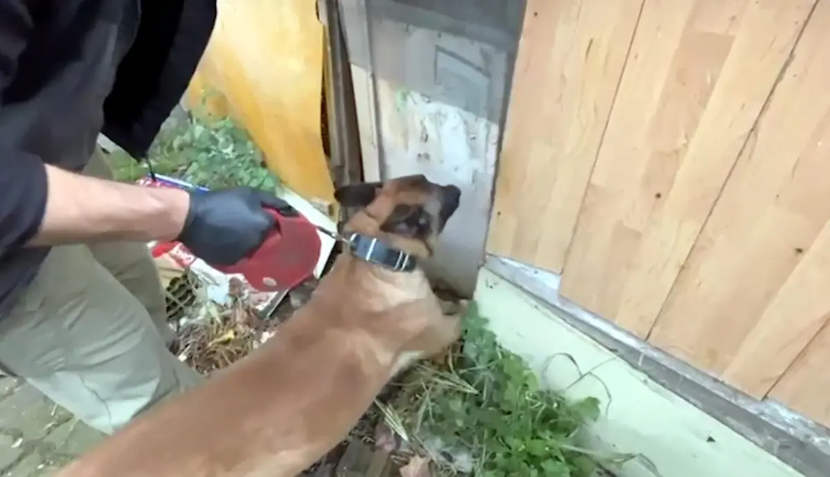 Edirne’de Uyuşturucu Operasyonu: 8 Gözaltı