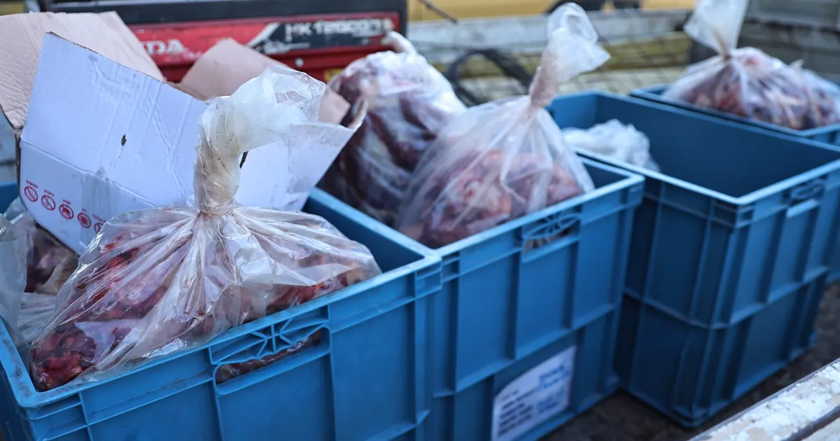 Antalya otogarında 270 kilo uygunsuz taşınan et bulundu