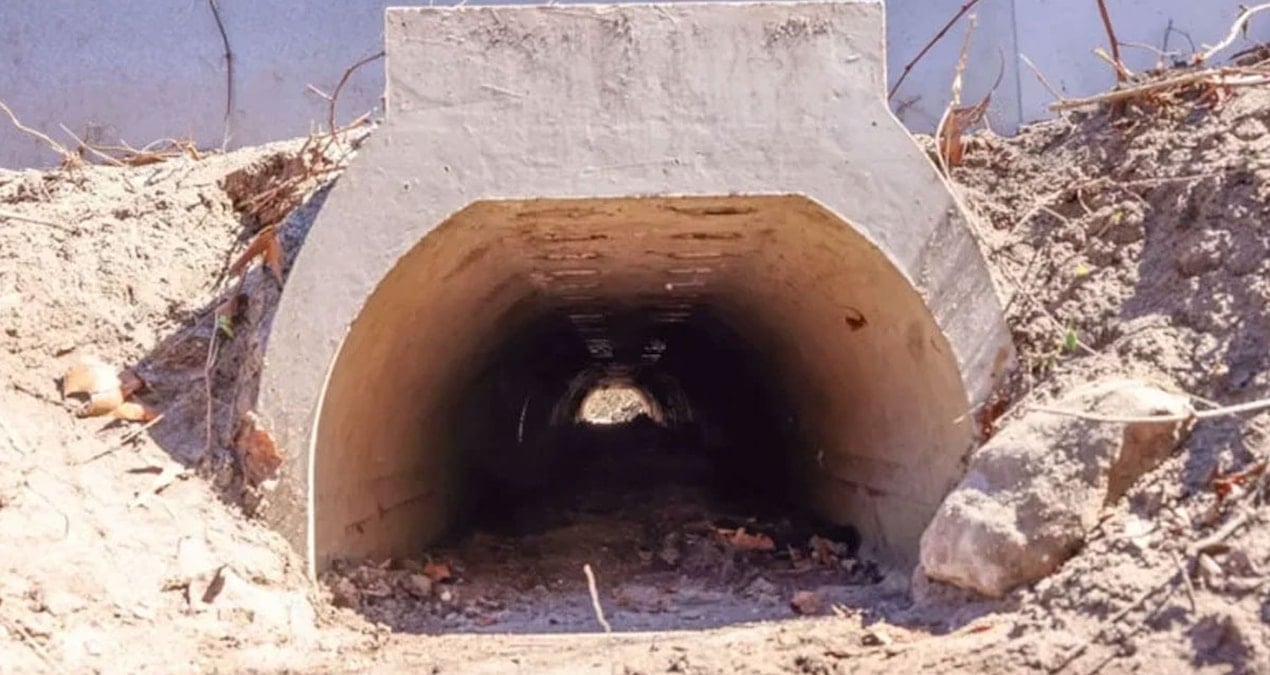 Rahat rahat çiftleşsinler diye özel alt geçit inşa edildi