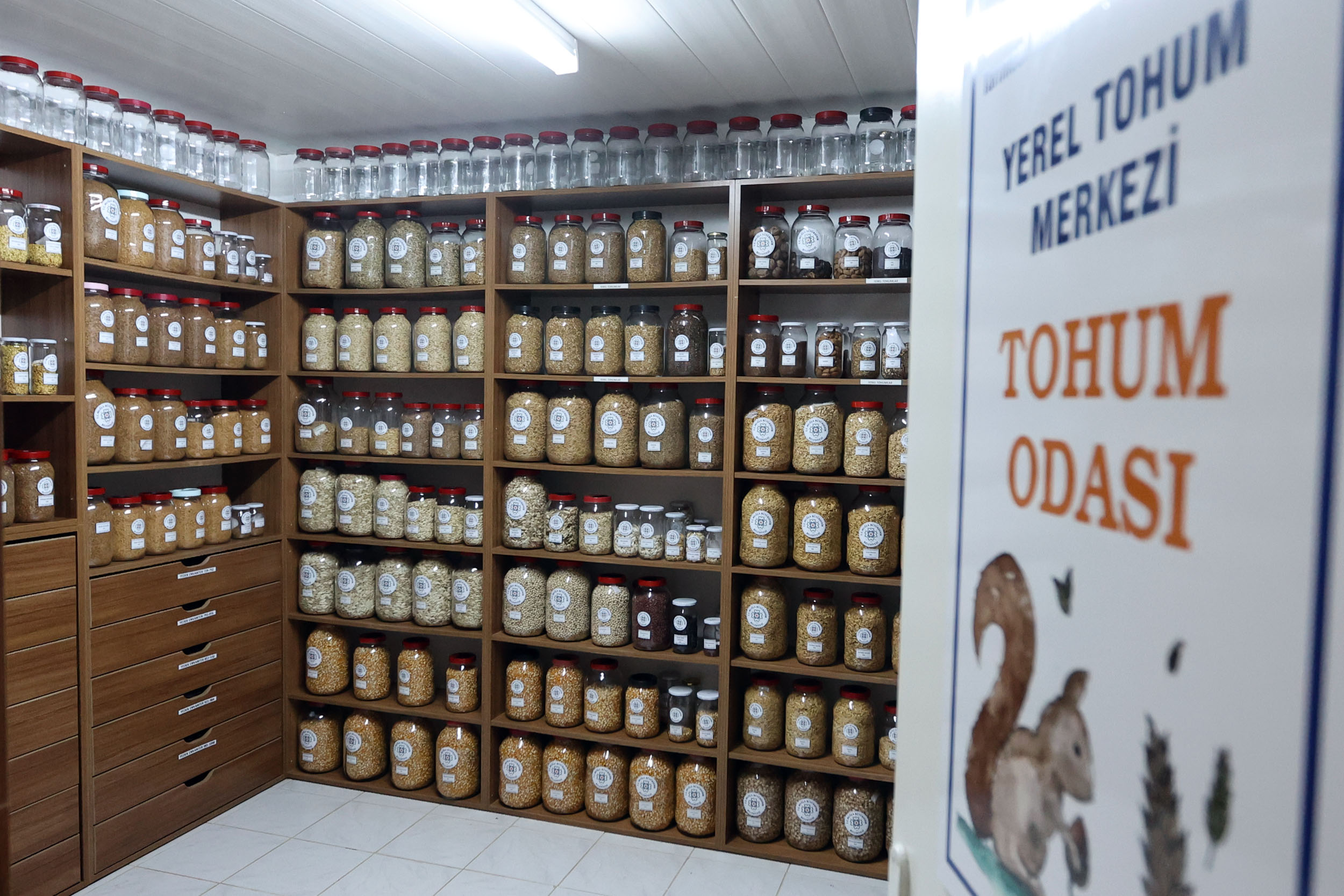 Büyükşehir Yerel Tohum Merkezi'nden 81 İle 22 Milyon Yerel Tohum Desteği