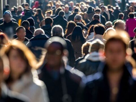 2025 İşsizlik Oranı Açıklandı: Tarihi Düşüş