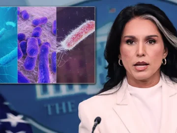 ABD İstihbarat Başkanı Gabbard’dan dikkat çeken iddia: ABD’nin desteklediği biyolojik laboratuvar ağına ait belgeler yayımlandı