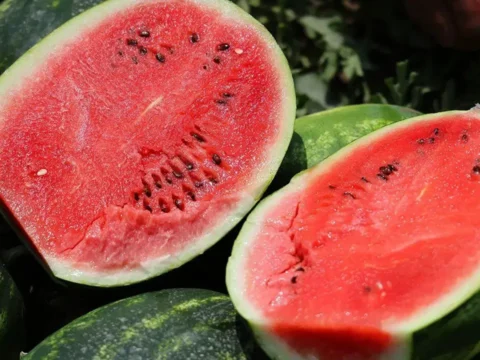 Karpuzun iyisi nasil anlasilir iste bilmeniz gereken ipuclari P2zncODg